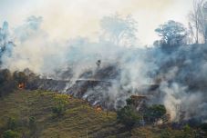 Ezentúl tűzvész esetén is támogatást nyújthat az állam az önkormányzatoknak