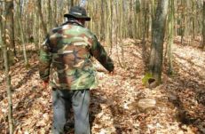 Hat erdészt öltek meg az utóbbi években a fatolvajok