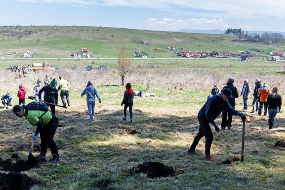 Napkapu program: erdősítenek és évről évre bővítik a térplasztikát