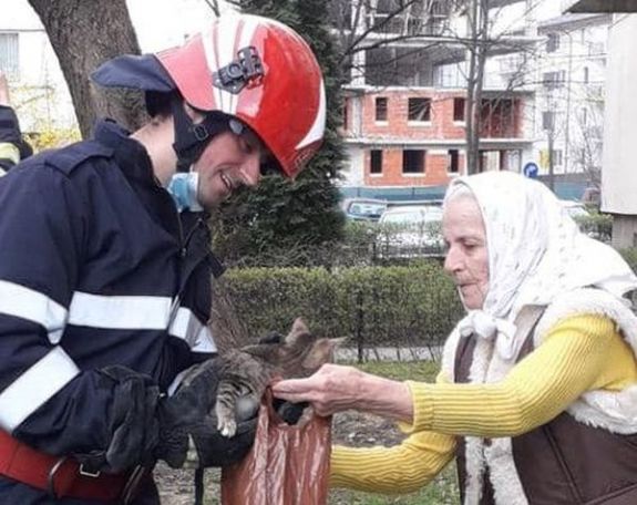 Két nap után hozták le a fáról a macskakölyköt a tűzoltók