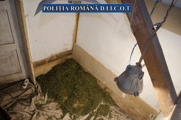 Drogkereskedőre csapott le a Hargita megyei rendőrség