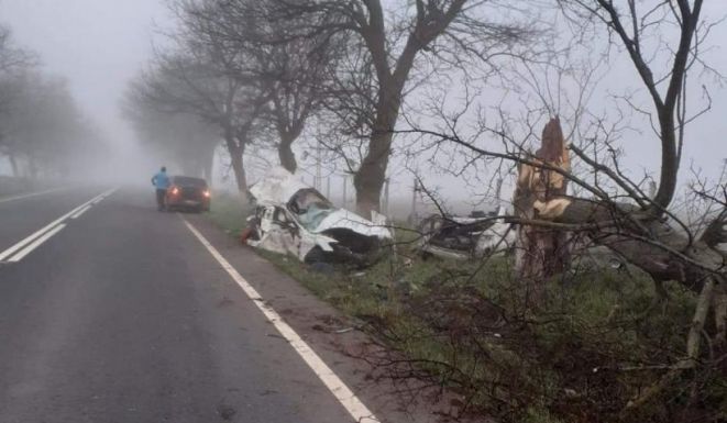 Szó szerint kettészakadt egy Audi A6-os a tragikus autóbalesetben