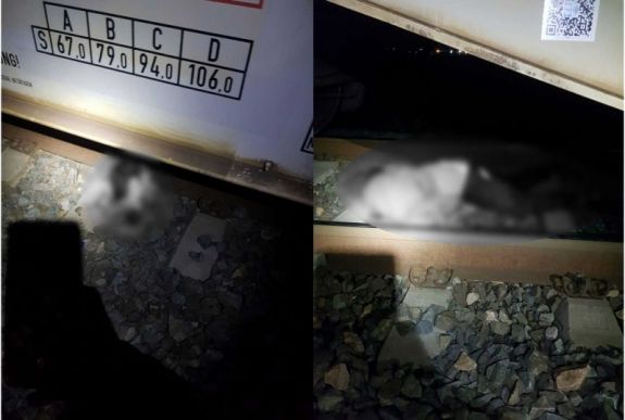 Elgázolt a tehervonat egy eltűntnek nyilvánított férfit Arad mellett