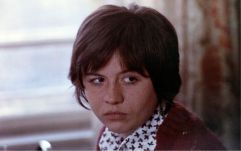 Mészáros Mártával és műhelykonferenciával ünnepel a Sapientia