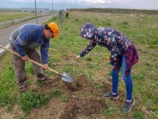 A Föld napja alkalmából szerveznek Tavaszi Zöld Napokat a céhes városban