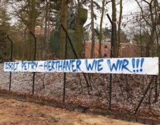  Foci, pénz, politika