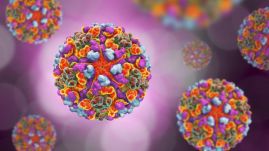 Közel 600 fertőzöttnél mutatták ki eddig a veszélyesebb vírusváltozatok valamelyikét