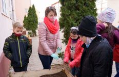 Saját magaságyásokban kertészkedhetnek egy nagyváradi iskola kisdiákjai 