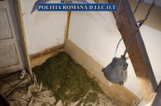 Drogkereskedőre csapott le a Hargita megyei rendőrség