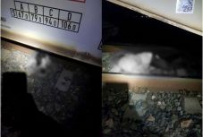 Elgázolt a tehervonat egy eltűntnek nyilvánított férfit Arad mellett