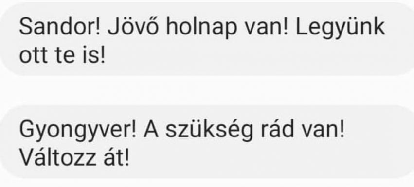 Állítólag ilyen SMS-üzenetekkel mozgósít a magyarországi ellenzék