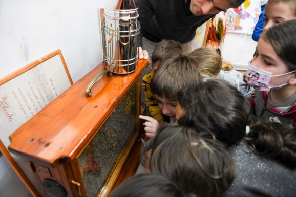 Méhek munka közben, méz, ami nem a gyárban készül – rendhagyó természetrajzóra gyerekeknek