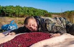 Kié az erdő? Mennyi szarvasagancsot, gombát és erdeigyümölcsöt vihet haza belőle a kiránduló?
