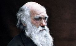 Visszacsempészte valaki Darwin eltűnt naplóit a Cambridge-i Egyetem könyvtárába