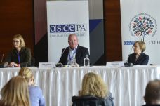 Nemzetközi megfigyelők: a lebonyolítás szakszerű volt, hiányoztak azonban az egyenlő versenyfeltételek