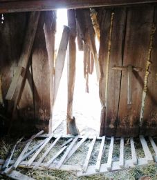 Haszonállatokat pusztított el egy medve Siménfalván