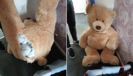 Plüssmackóba bújt a rendőrök elől menekülő tolvaj