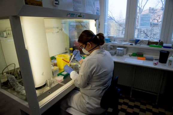 A múlt héten mindössze két majomhimlős esetet fedeztek fel