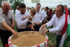 Búzaösszeöntés Koltón – „Egy kenyéren vagyunk”