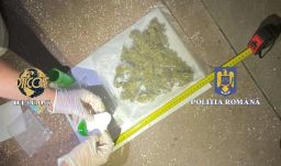 Tizenöt személynél találtak tudatmódosító szereket egy Hargita megyei fesztiválon (VIDEÓ)