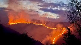 Az átlagnál tízszer nagyobb terület égett le Romániában az idei esztendőben