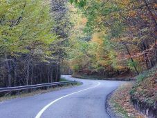 Bemutatták a 2030-ig szóló Országos Erdőstratégiát