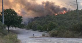 Az EU repülőgépekkel segíti a portugáliai erdőtüzek oltását