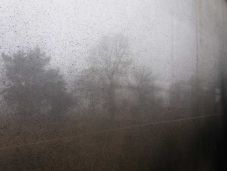 A jövőben egyre inkább számolni kell a porral behurcolt kórokozókkal