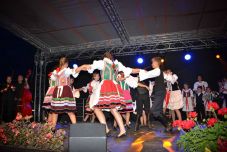 Ismét megszervezik a Fekete-Körös-völgyi Magyar Napokat