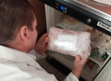 Súlyos hiányosságokat tárt fel a nyári turistaszezonban az élelmiszerbiztonsági hivatal