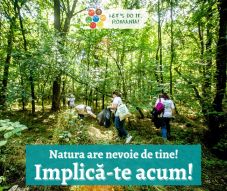 Let's Do It, Romania: újabb szemétgyűjtési akciót szerveznek 34 megye bevonásával