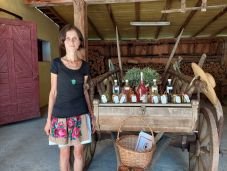 Ősi növényfajok megmentésébe kezdtek Szilágy megyében