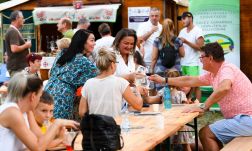 A borkultúra ünnepét tartották Nagykárolyban