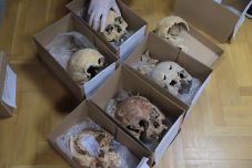 Azonosították Szent László király földi maradványait