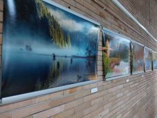 Különleges fotókiállítással jelentkezett a csíkszeredai Megyeháza Galéria