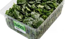 Mérgező bébispenót szedi áldozatait Ausztráliában