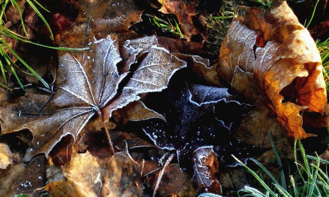 A megszokottnál melegebb lesz karácsonykor és szilveszterkor