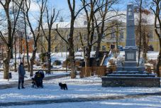 Ingyenes WiFit tettek elérhetővé a sepsiszentgyörgyi parkban és az arénában