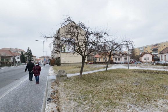 Petőfi Sándor-szobrot állítanak Sepsiszentgyörgyön