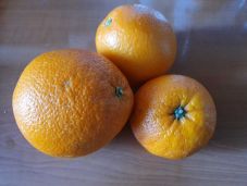 Hamis eredetmegjelöléssel hozták forgalomba a túlvegyszerezett narancsot