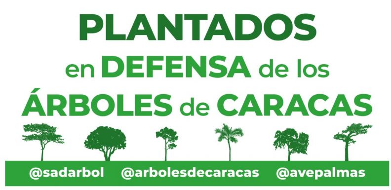 Tüntetők és faültetők