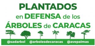 Tüntetők és faültetők