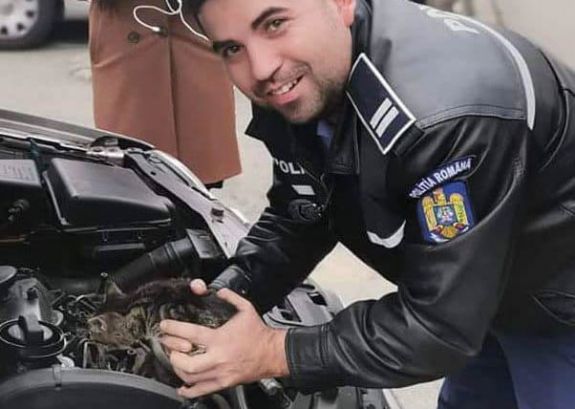 Rendőrök mentettek ki egy kiscicát egy autó motorteréből