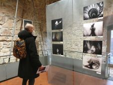 Kolozsvári és magyarországi elsődíjas a Sapixel Nemzetközi Fotópályázaton