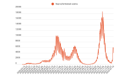 FRISSÍTVE – A halálos áldozatok 87 százaléka nem volt beoltva a betegség ellen