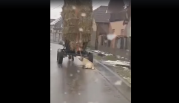 Szekere után kötve vonszolt egy kutyát, elfogták az elkövetőt