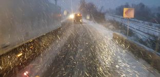 Fa zuhant az úttestre, nehézkes a közlekedés Kolozs megyében