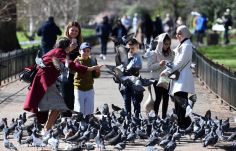 Megszűnik a járványügyi korlátozások többsége Angliában