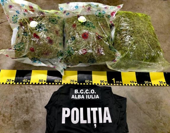 Erdélyi marihuána importőrt füleltek le