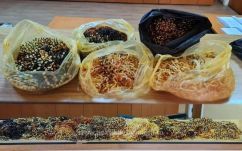 28 kg borostyánt próbált becsempészni Romániába egy török állampolgár